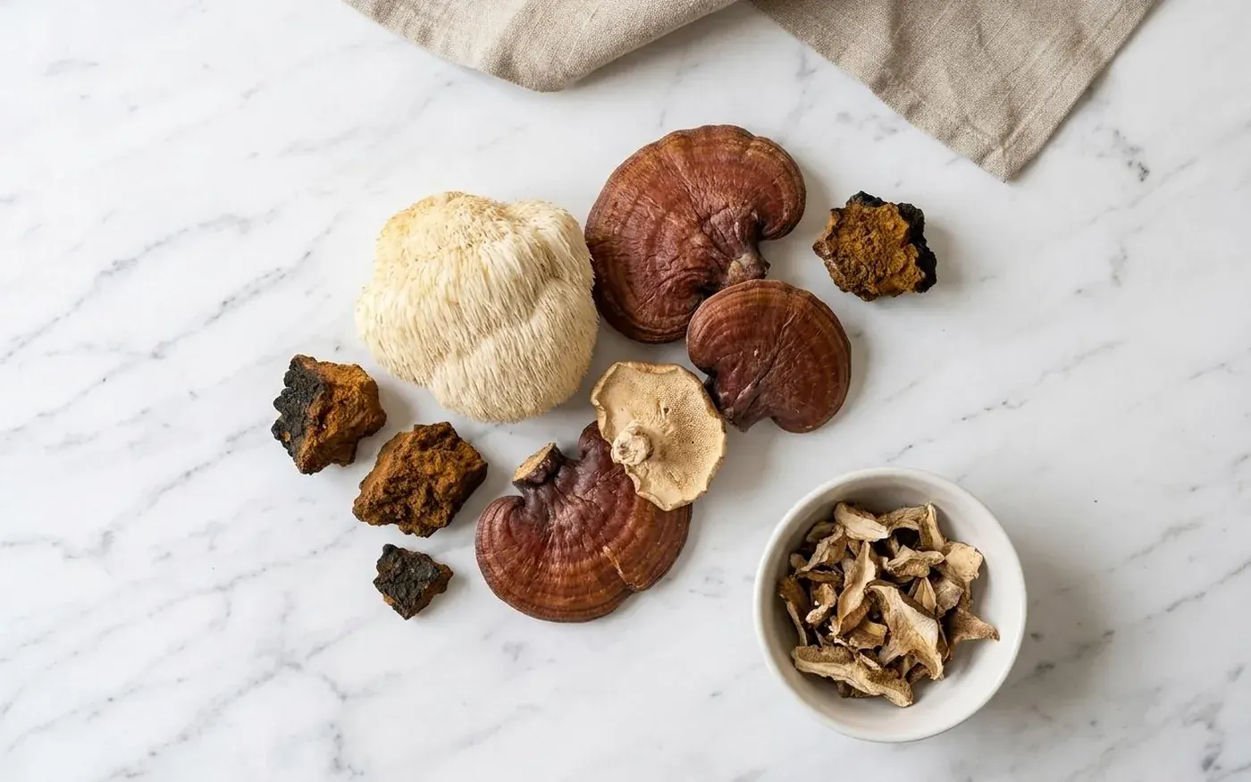 Mushroom supplement image 5